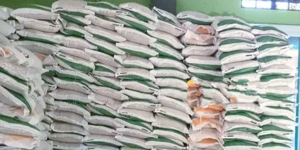 Bansos Beras dan Minyak Goreng Susulan Masih Disalurkan Akhir Januari 2026, Pendamping Sosial Infokan Begini