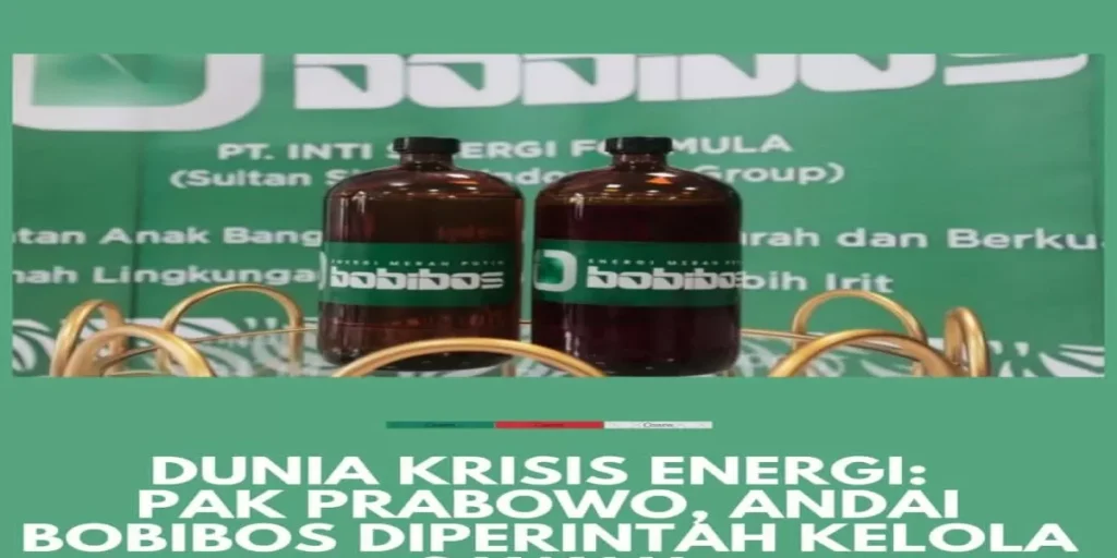 Dunia Krisis Energi: Andaikan Bobibos Dipercayakan Presiden Prabowo Kelola 5 Juta Hektar Sawah